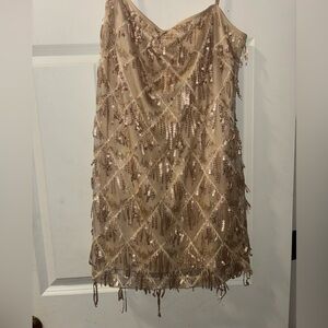Lucy in the Sky - Sequin Fringe Dress in Champagne